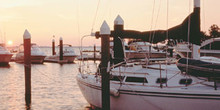 Gulf Harbour Marina