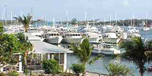 Green Turtle Club & Marina