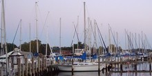 Ferry Point Marina & Yachtyard