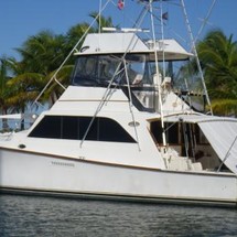 Ocean yachts 48 super sport