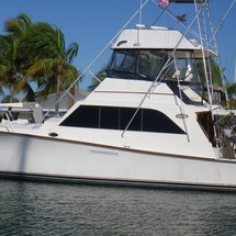 Ocean yachts 48 super sport