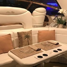 Sea Ray 460 Sundancer