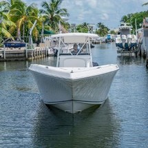 Fountain 38 center console te