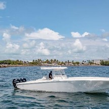 Fountain 38 center console te