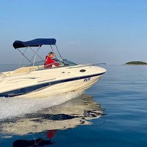 Chaparral 215 SSi