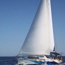 Triton 48