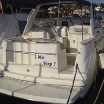 Rinker Fiesta Vee 310