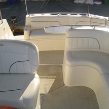 Rinker Fiesta Vee 310