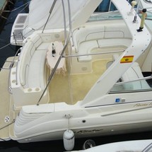 Rinker Fiesta Vee 310