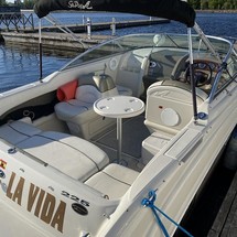 Sea ray 225 weekender