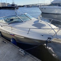 Sea ray 225 weekender