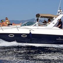 Rinker 270 EX