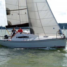 Delphia 26