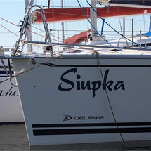 Delphia 26