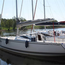 Delphia 26