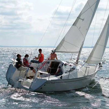 Delphia 28