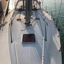 Harmony 38