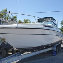 Chaparral 290 Signature