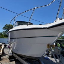 Chaparral 290 Signature