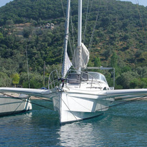 Dragonfly 35