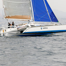 Dragonfly 35