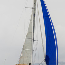 Dragonfly 35