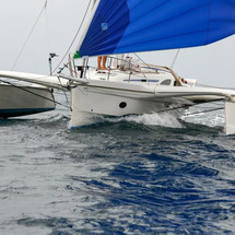 Dragonfly 35