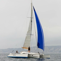 Dragonfly 35