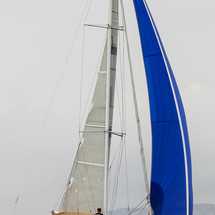 Dragonfly 35