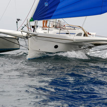 Dragonfly 35