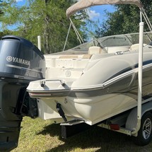 Stingray 234 LR