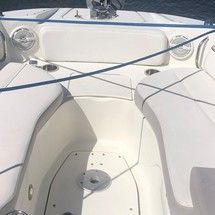 Sea Ray 300 Sundeck