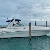 Sea Ray 410 Sundancer