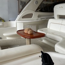 Sea Ray 460 Sundancer