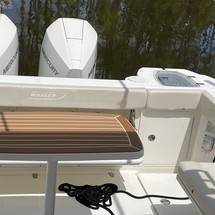 Boston Whaler 315 Conquest