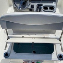 Boston Whaler 210 Dauntless