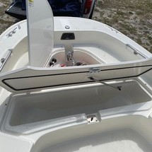 Boston Whaler 210 Dauntless