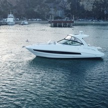 Cruisers Yachts 35 Express