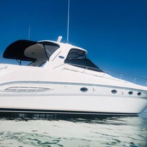 Sea Ray 460 Sundancer