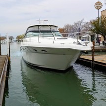 Sea Ray 460 Sundancer