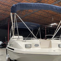 Sea Ray 240 Sundeck