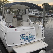 Bayliner 242 Classic