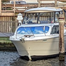 Bayliner 242 Classic