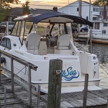 Bayliner 242 Classic