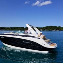 Crownline 264 CR