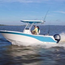 228 Sea Fox Commander