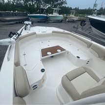 Nauticstar 231