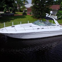 Sea ray sundancer