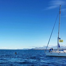 Bavaria 42 Cruiser