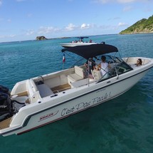 Boston Whaler 270 Vantage